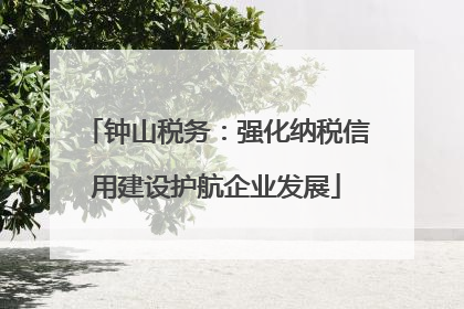 钟山税务：强化纳税信用建设护航企业发展