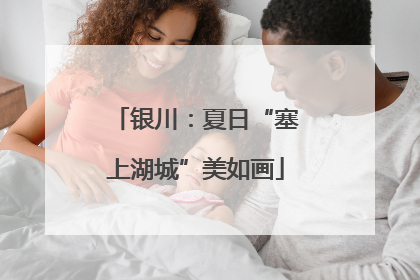 银川：夏日“塞上湖城”美如画