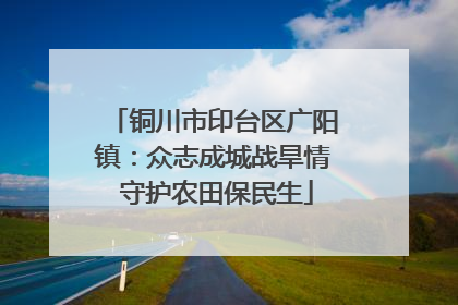 铜川市印台区广阳镇：众志成城战旱情 守护农田保民生