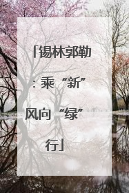 锡林郭勒：乘“新”风向“绿”行