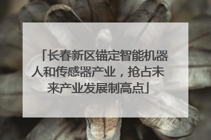 长春新区锚定智能机器人和传感器产业，抢占未来产业发展制高点