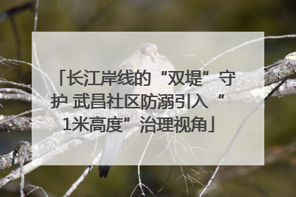 长江岸线的“双堤”守护 武昌社区防溺引入“1米高度”治理视角