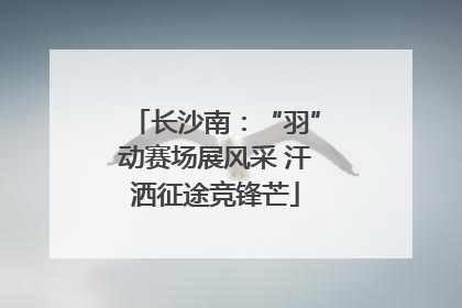 长沙南：“羽”动赛场展风采 汗洒征途竞锋芒