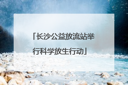 长沙公益放流站举行科学放生行动