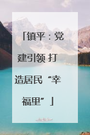 镇平：党建引领 打造居民“幸福里”