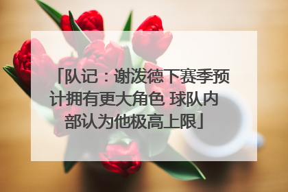 队记：谢泼德下赛季预计拥有更大角色 球队内部认为他极高上限