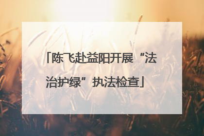 陈飞赴益阳开展“法治护绿”执法检查