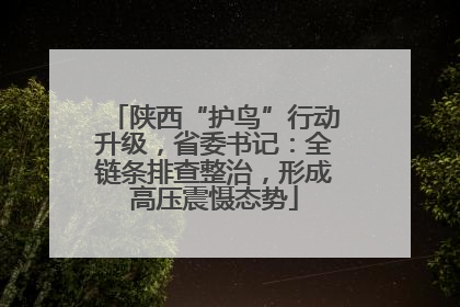 陕西“护鸟”行动升级，省委书记：全链条排查整治，形成高压震慑态势