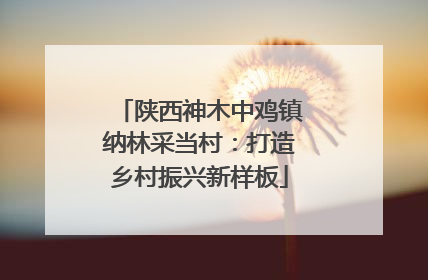 陕西神木中鸡镇纳林采当村：打造乡村振兴新样板
