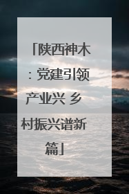 陕西神木：党建引领产业兴 乡村振兴谱新篇