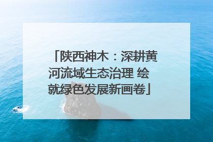 陕西神木：深耕黄河流域生态治理 绘就绿色发展新画卷