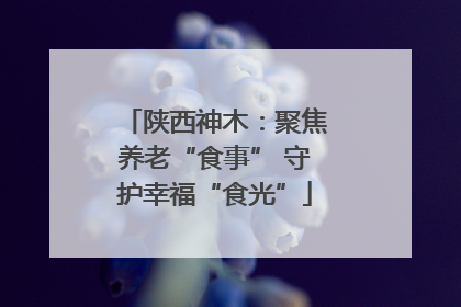 陕西神木：聚焦养老“食事” 守护幸福“食光”