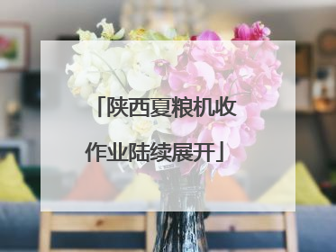 陕西夏粮机收作业陆续展开