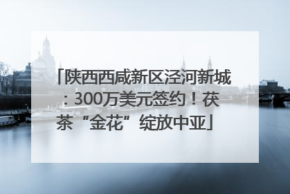 陕西西咸新区泾河新城：300万美元签约！茯茶“金花”绽放中亚