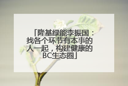 隆基绿能李振国：找各个环节有本事的人一起，构建健康的BC生态圈