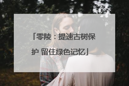 零陵：提速古树保护 留住绿色记忆
