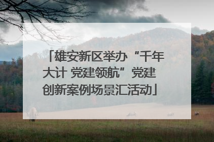 雄安新区举办“千年大计 党建领航”党建创新案例场景汇活动