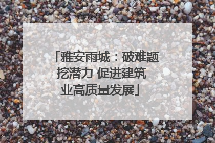 雅安雨城：破难题 挖潜力 促进建筑业高质量发展