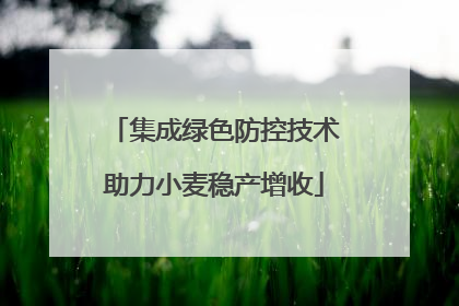 集成绿色防控技术助力小麦稳产增收