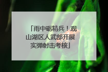 雨中砺精兵！观山湖区人武部开展实弹射击考核