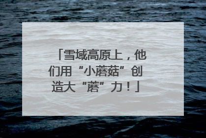 雪域高原上，他们用“小蘑菇”创造大“蘑”力！