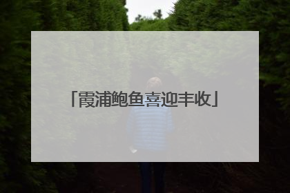 霞浦鲍鱼喜迎丰收