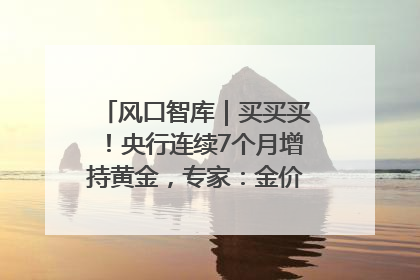 风口智库｜买买买！央行连续7个月增持黄金，专家：金价或仍易涨难跌