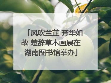 风吹兰芷 芳华如故 楚辞草木画展在湖南图书馆举办