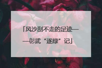 风沙刮不走的足迹——彰武“逐绿”记