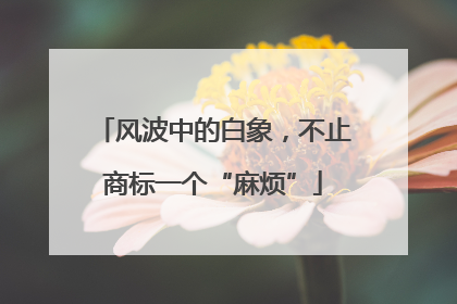 风波中的白象，不止商标一个“麻烦”