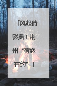 风起倩影摇！荆州“荷您有约”