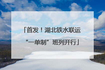 首发！湖北铁水联运“一单制”班列开行