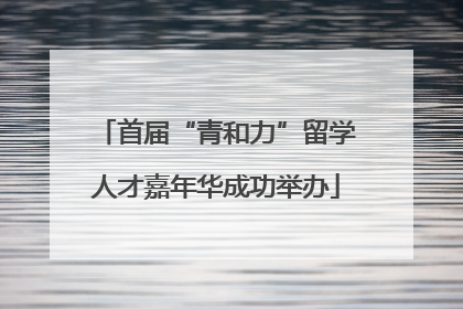 首届“青和力”留学人才嘉年华成功举办