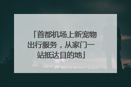 首都机场上新宠物出行服务，从家门一站抵达目的地