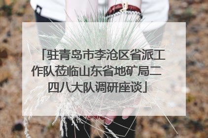 驻青岛市李沧区省派工作队莅临山东省地矿局二四八大队调研座谈