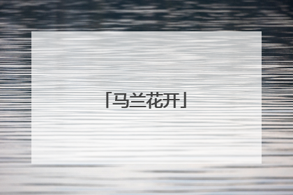 马兰花开