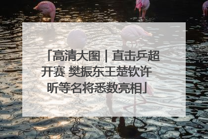高清大图｜直击乒超开赛 樊振东王楚钦许昕等名将悉数亮相