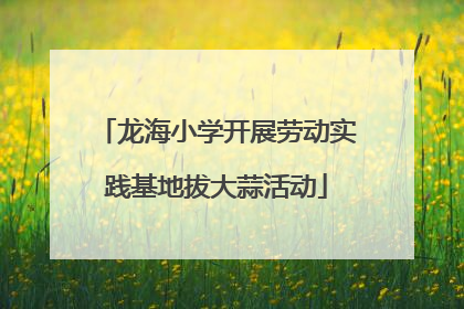 龙海小学开展劳动实践基地拔大蒜活动