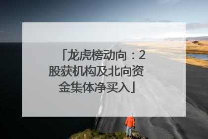 龙虎榜动向：2股获机构及北向资金集体净买入