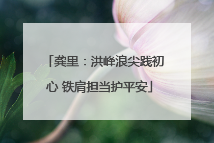 龚里：洪峰浪尖践初心 铁肩担当护平安