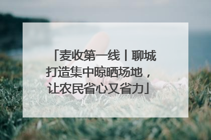 麦收第一线丨聊城打造集中晾晒场地，让农民省心又省力