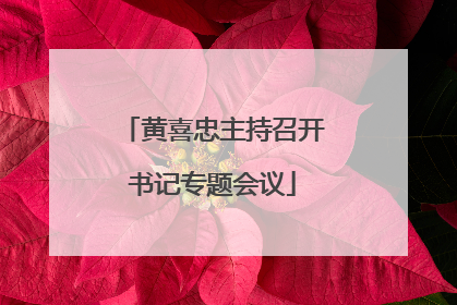 黄喜忠主持召开书记专题会议