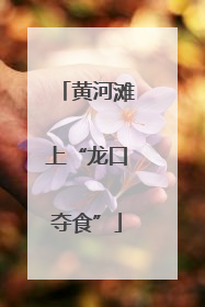 黄河滩上“龙口夺食”