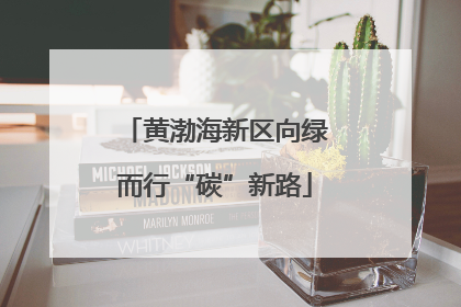 黄渤海新区向绿而行“碳”新路