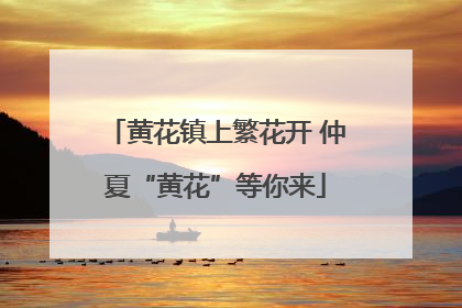 黄花镇上繁花开 仲夏“黄花”等你来
