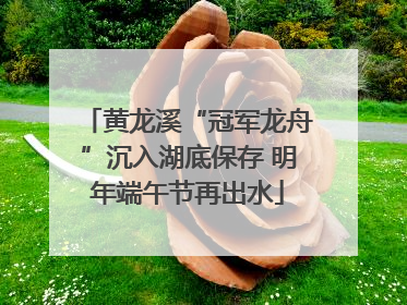黄龙溪“冠军龙舟”沉入湖底保存 明年端午节再出水