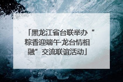黑龙江省台联举办“粽香迎端午·龙台情相融”交流联谊活动