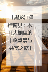 黑龙江省桦南县：木耳大棚里的丰收盛景与共富之路