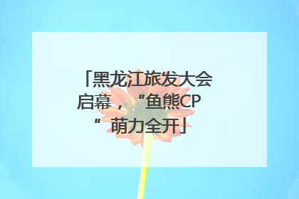 黑龙江旅发大会启幕，“鱼熊CP”萌力全开