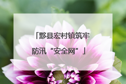 黟县宏村镇筑牢防汛“安全网”